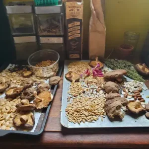 seed save small