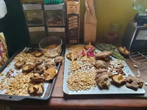 seed save small