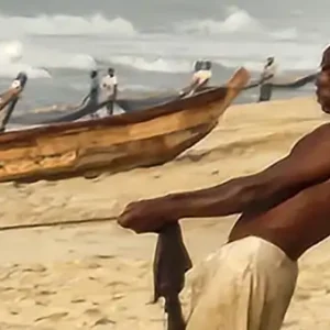 winneba fisherman best small