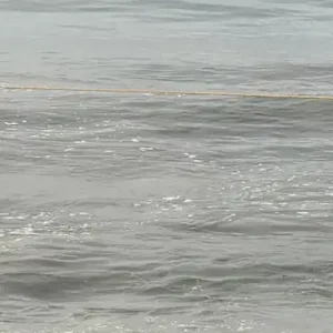 winneba fishing line small