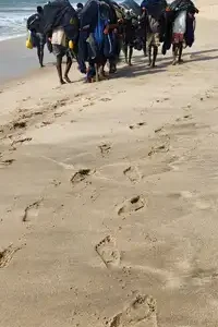 winneba footsteps small